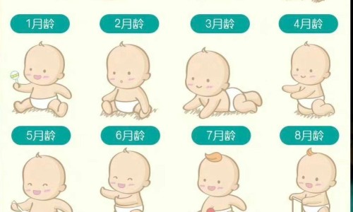 天津格林国际幼儿园学费-新癀片的说明书-长丰县公共资源交易中心网站,中国新黄片说明书网站